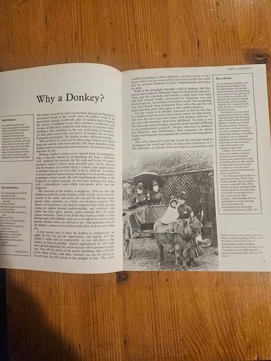 A Passion For Donkeys. By Dr Elizabeth D. Sevendsen. Large Volume Paperback In Good Condition.  See Photos For Same.