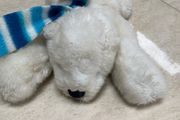 Toy