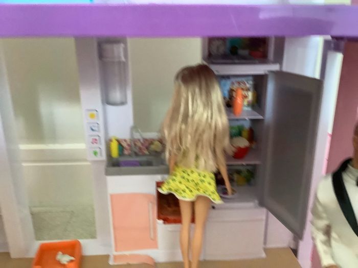 Barbie Dreamhouse, dolls & accessories