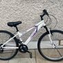 Apollo Teens Mountain Bike Image 9