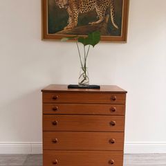 Mid Century Chest of Drawers