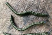 Salmon &amp;trout wriggle weights for river fishing