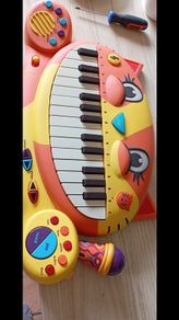 cat piano
