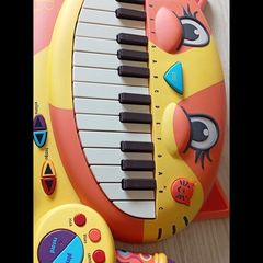 cat piano