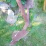 Rare 19th Century Admiralty Pattern Anchor Authentic Maritime Antique | 175cm Image 3