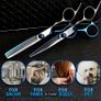 Professional Hairdressing Set Image 2