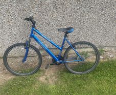 20 inch bike