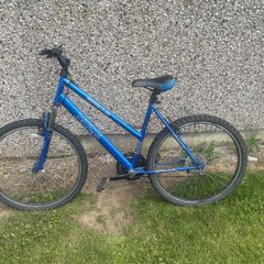 20 inch bike