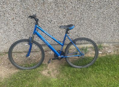 20 inch bike