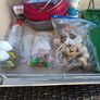 guinea pig cage Image 4