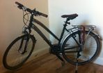 Ladies Trekking Bike