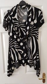 Dressy Top size 14
