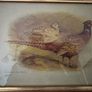 Pair of Antique Framed Game Bird Prints by Charles Whymper (c. 1900) Image 4