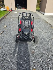 Petrol buggy