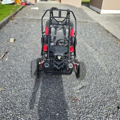 Petrol buggy