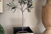 Faux Olive tree in pot