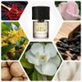 Eau Coeur Extrait de Parfum by  Thomas de Monaco Image 2
