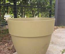 Large pot