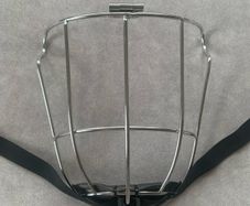 Kilkenny face guard