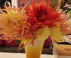 Dahlia tubers