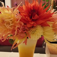 Dahlia tubers