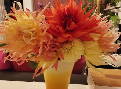 Dahlia tubers