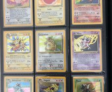 Pokemon Jungle set