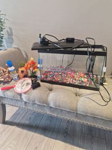 Fish Tank