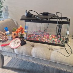 Fish Tank