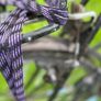 Buderit Veloring Hybrid City Bike Shimano 18 Speed Image 10