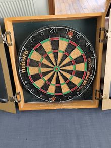 Phil Taylor Unicorn Dart Board