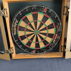 Phil Taylor Unicorn Dart Board