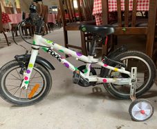 Frog 40 kids bike