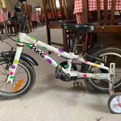 Frog 40 kids bike