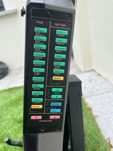 CASIO DG-20 Synth guitar