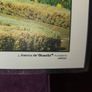 Set of 6 Vintage America the Beautiful Placemats Image 8