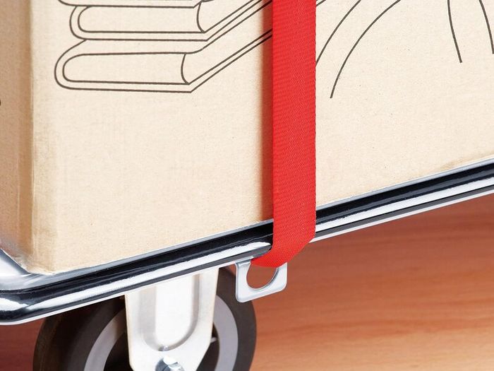 Heavy Duty Platform Transport Trolley Truck 300 kg Foldable