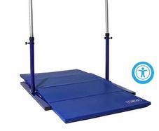 Gymnastics bar and mat