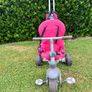 Smart Trike (red) Image 2