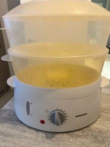 food steamer
