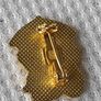 brooch Image 2