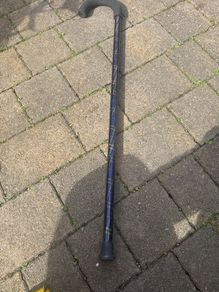 walking stick