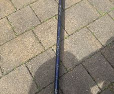 walking stick
