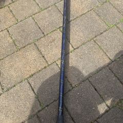 walking stick