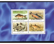 2001 Ireland Freshwater Fish Commemorative Stamps Booklet Pane Mint Never Hinged (MNH). Hibernian HP125