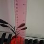 3D Printed "Home" Sign Home Decor with Vase Image 2
