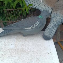 Plastic Pigeon