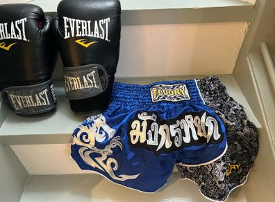 Muay thai shorts (M) and gloves 12oz