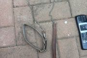 dog lead