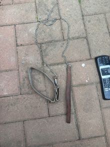 dog lead